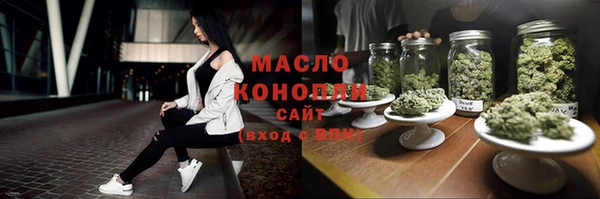 дмт Пестово