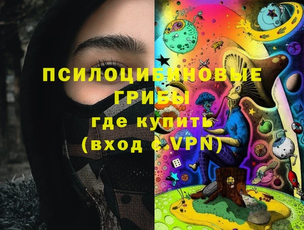 индика Балахна