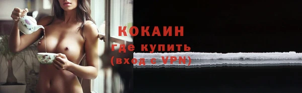 шишки Балабаново
