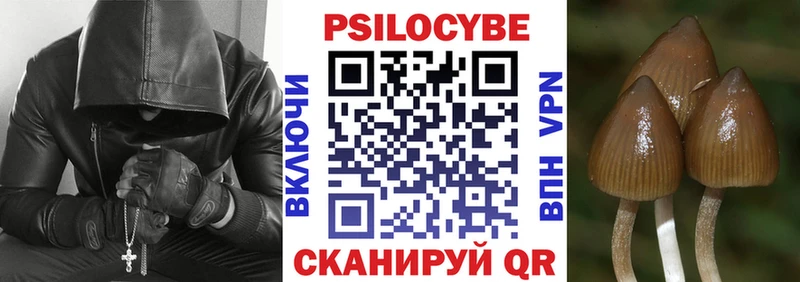 kraken сайт  купить наркоту  Павловская  Галлюциногенные грибы GOLDEN TEACHER 