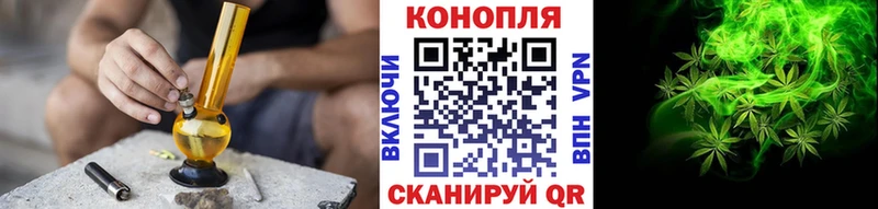 Конопля Ganja  Павловская 